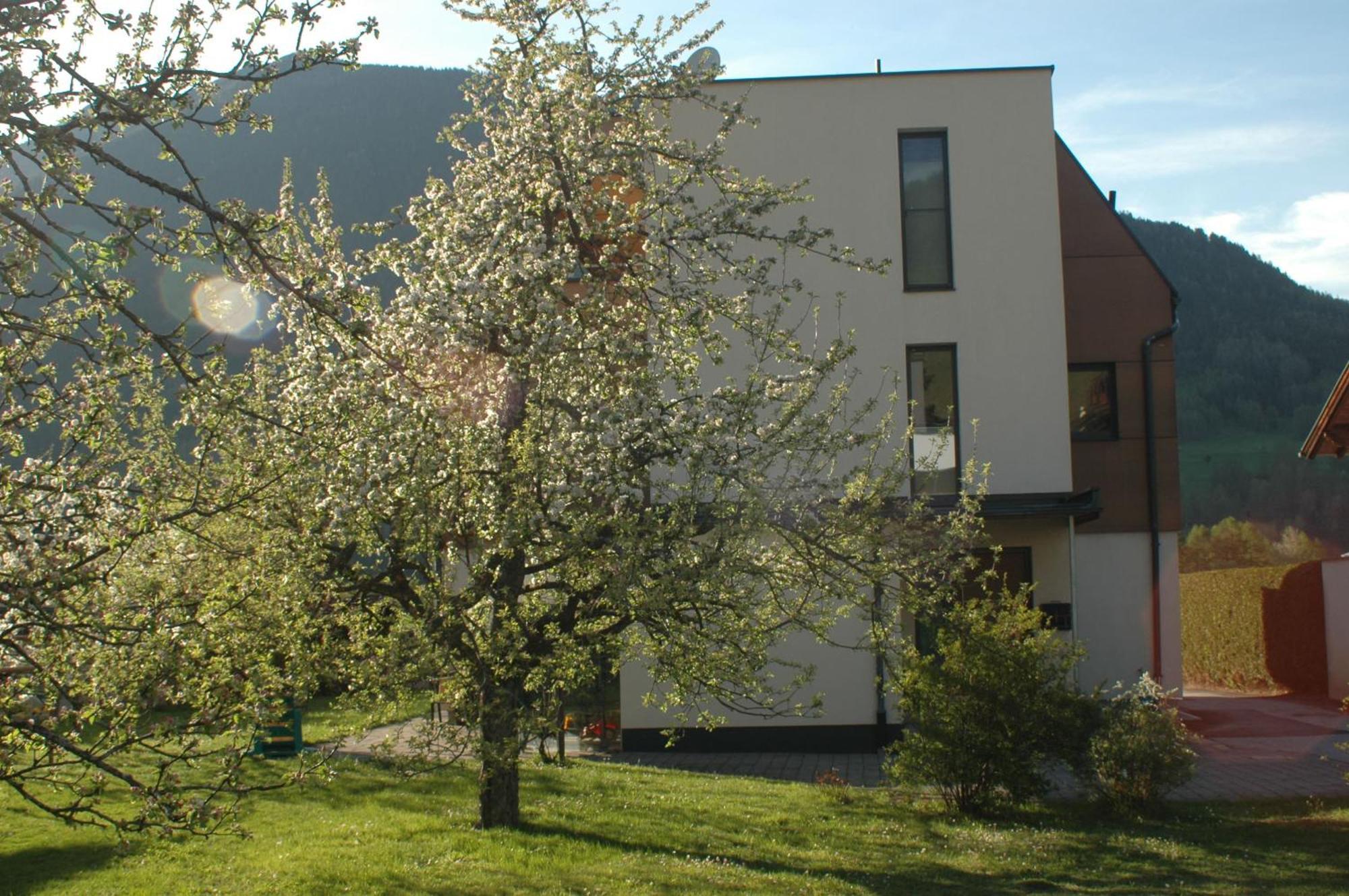 Ferienwohnung Haus Hofer Mieders Exterior foto